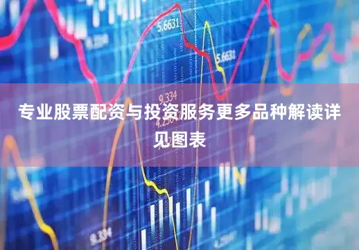 专业股票配资与投资服务更多品种解读详见图表