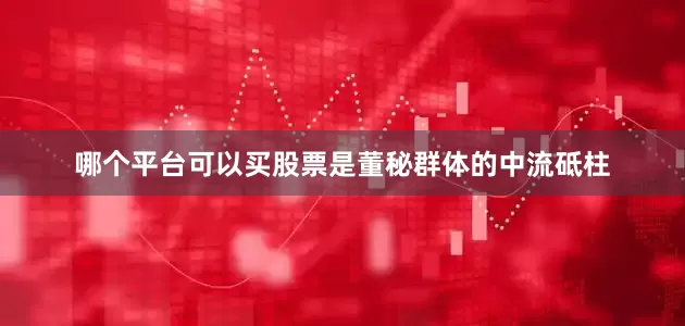 哪个平台可以买股票是董秘群体的中流砥柱