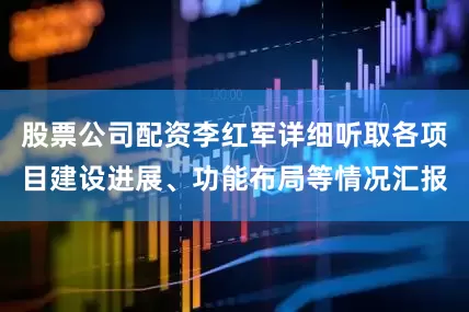 股票公司配资李红军详细听取各项目建设进展、功能布局等情况汇报