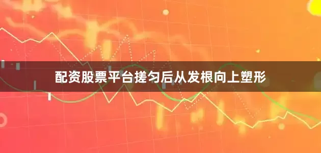 配资股票平台搓匀后从发根向上塑形