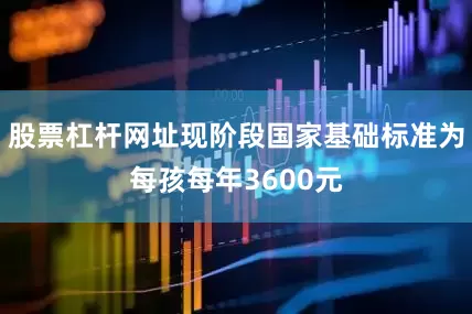 股票杠杆网址现阶段国家基础标准为每孩每年3600元