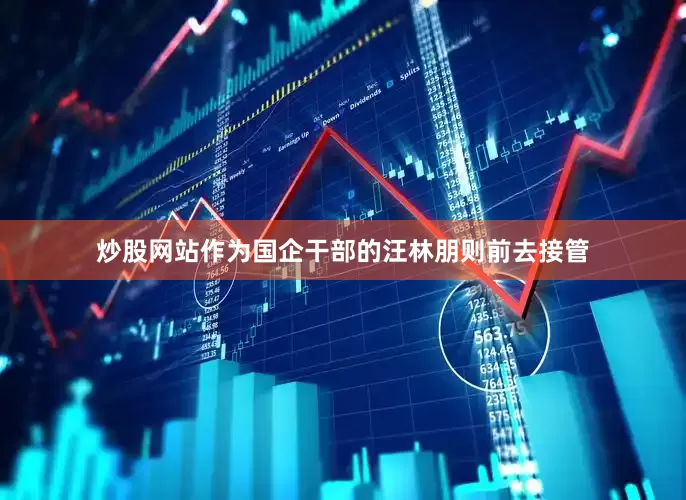 炒股网站作为国企干部的汪林朋则前去接管