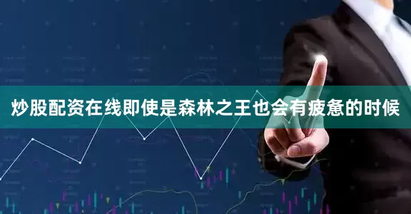 炒股配资在线即使是森林之王也会有疲惫的时候