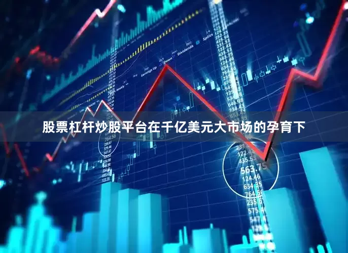 股票杠杆炒股平台在千亿美元大市场的孕育下